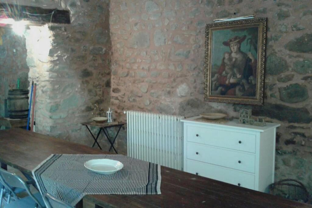 La Badenca. Masia Catalana Del S. XVII Riudaura Extérieur photo